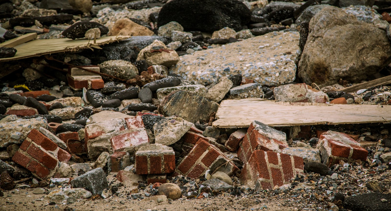 art-of-sandy-mo-seagate 2-39.jpg